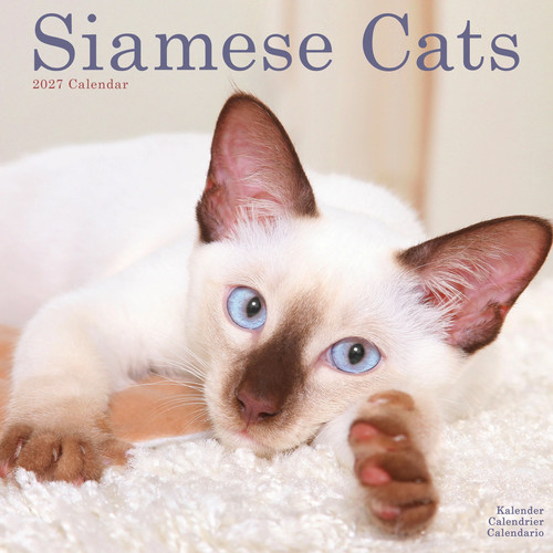 Cats siamese 2027 calendar - ,