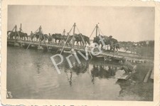 Photo WW2 Horses Dnieper Wagon