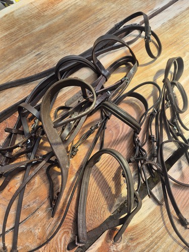 Job lot quality pony - lot, bridles