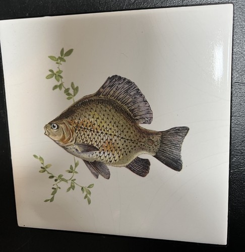 Richard ginori crucian carp - richard,