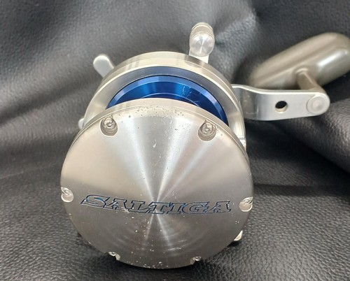 Daiwa saltiga z30 engetsu - z30,