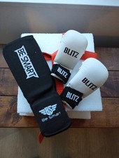 Martial Arts Karate Training Gloves, Shin Pads and Sparing Pad