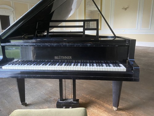 Bluthner grand piano - bluthner,