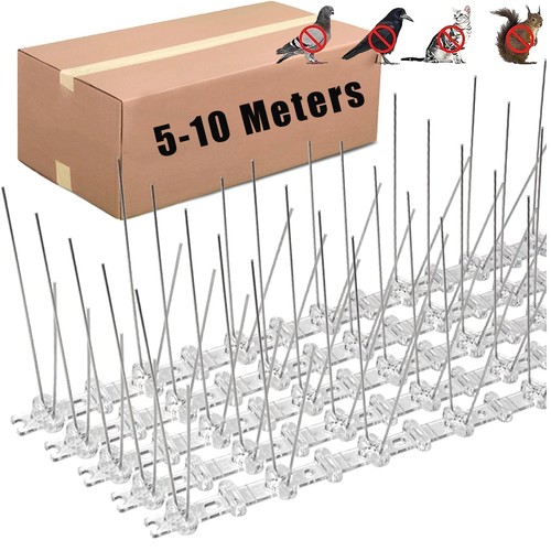 10m pigeon bird spikes - pigeon,