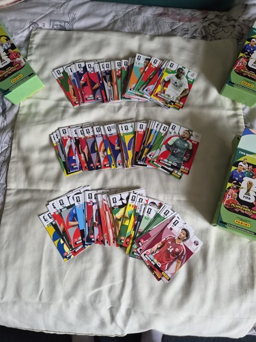 Panini adrenalyn world cup - xl,