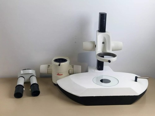 Leica mz12 microscope - leica,