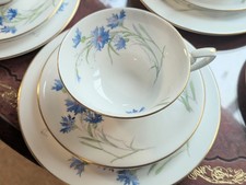 Vintage Royal Worcester 1940's