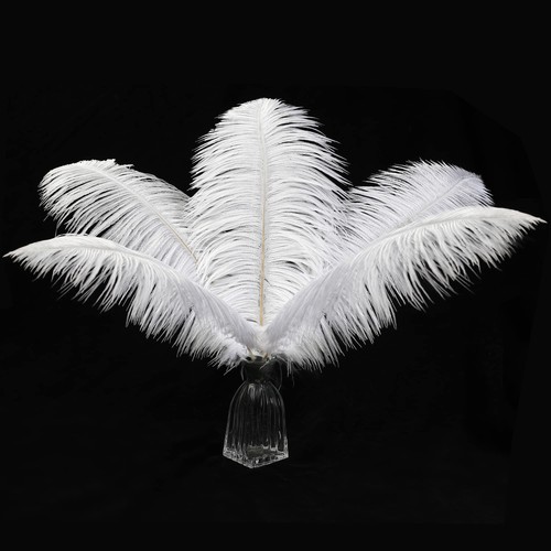 12pcs natural white ostrich - 12pcs,