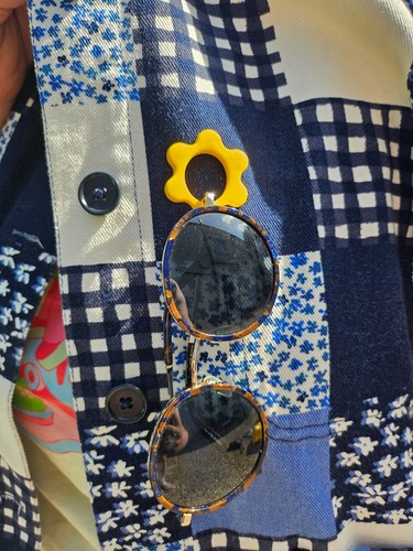 Sunglasses holder pin - sunglasses, pin-