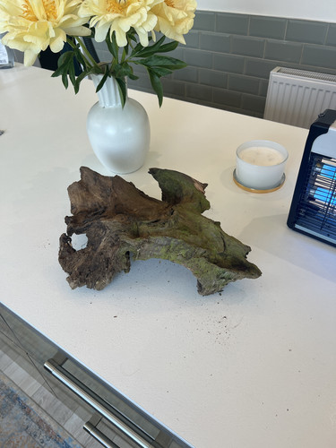 Large aquarium driftwood - large,