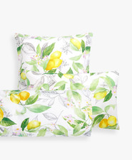 Pair Vintage Botanical Print