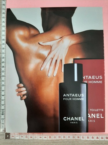 Perfume paper advertising ad - paper,
