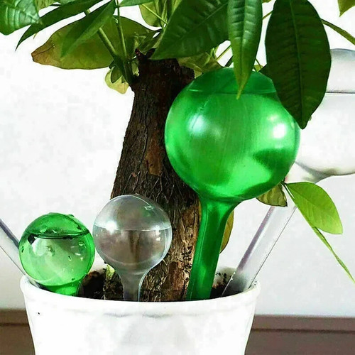 Plant self watering bulb - plant,