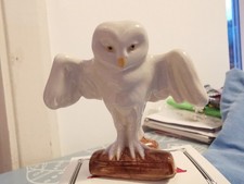 Large RARE snowy Owl by Wade