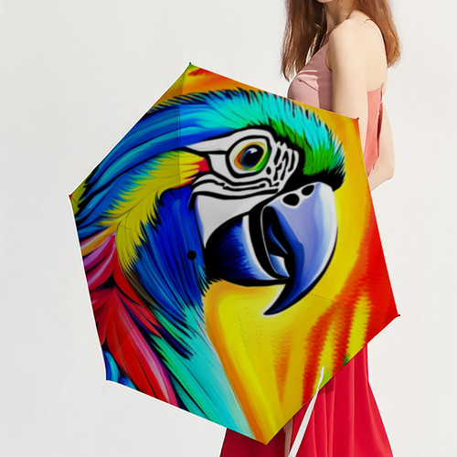 Umbrella the colorful up - colorful,