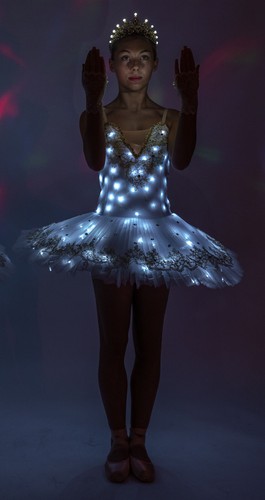 Professional led ballet dance - ballet,