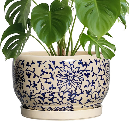 Ceramic plant pot - ceramic,