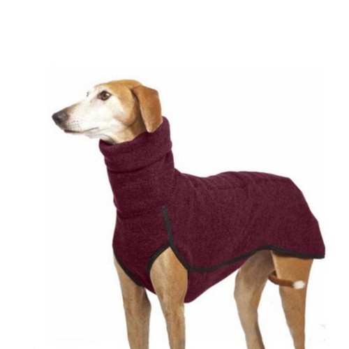 Pet dog winter high - winter, collar