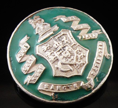 Sterling silver enamel - silver,