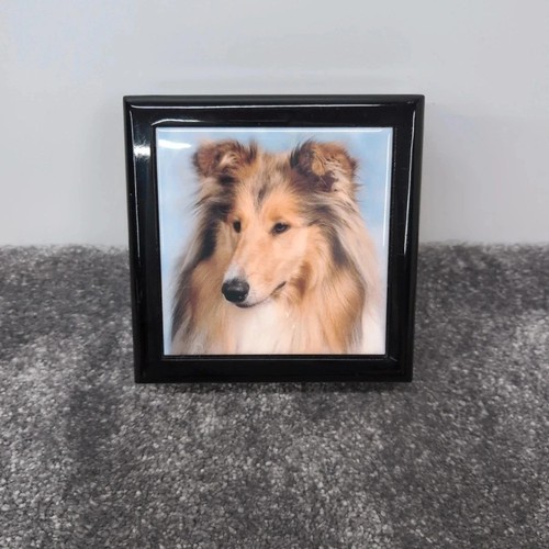 Lassie dog rough - collie, wooden