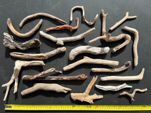 Cornish driftwood pieces - driftwood,