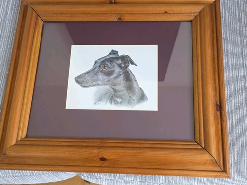 Nice greyhound print hand - nice,