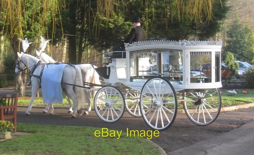 Photo 6x4 horse - photo,