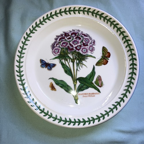 Portmeirion botanic garden - botanic,
