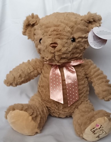 Plush teady bear - plush,