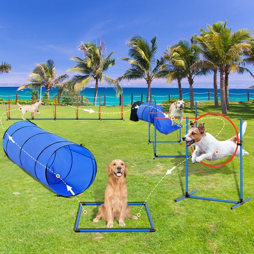 Dog agility training kit - agility,
