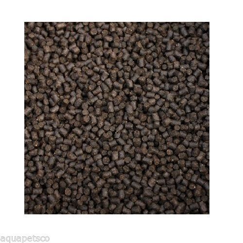 Premium sturgeon - 1.9,