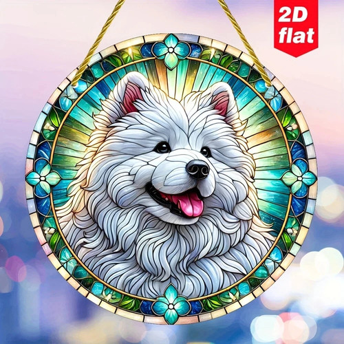 Samoyed white animal dog - white,