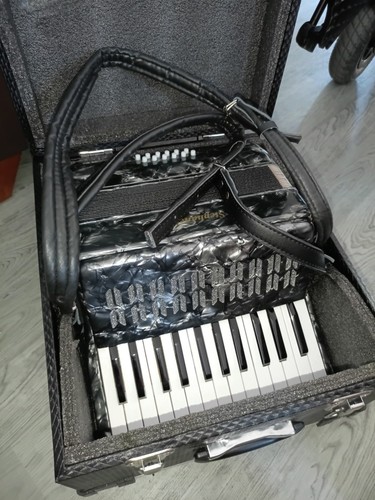Bass piano accordian - bass,