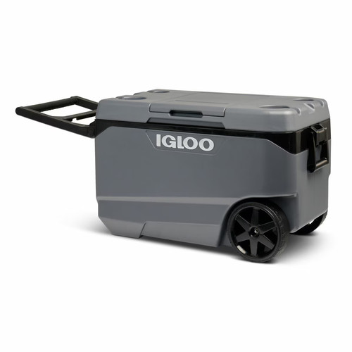 Igloo maxcold latitude - igloo,