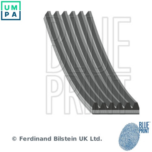 Vribbed belt ad06r2270 - for, epe