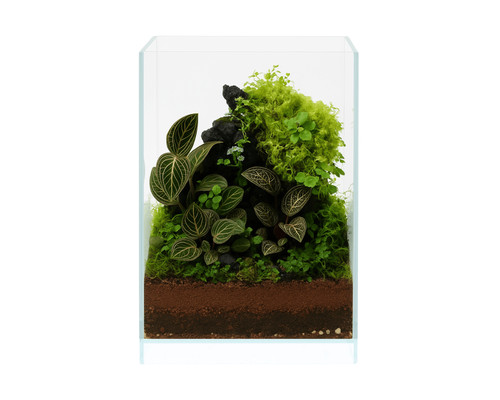 Natureholic nanoair tank - nanoair,