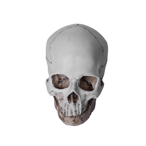 720g resin replica life - resin, 1:1