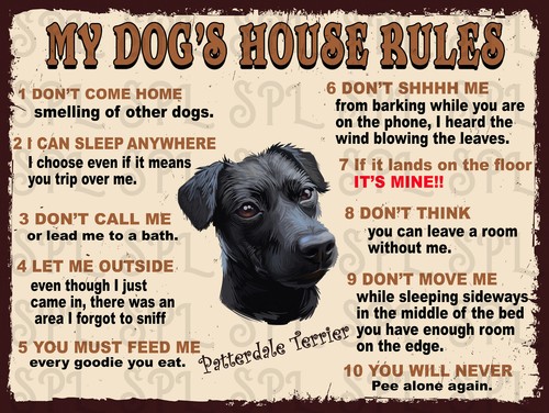 Dog house rules - dog's,