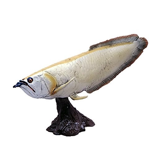 Favorite silver arowana - silver,