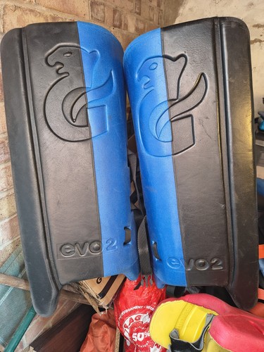 Gryphon evo goalkeeping - evo, 2