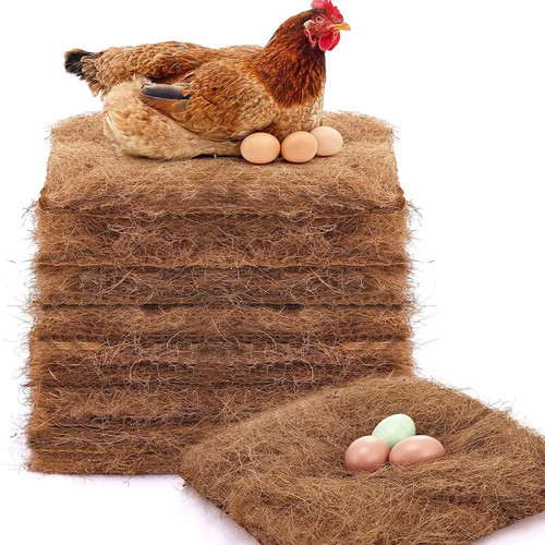 Pack chicken nest box - 10,