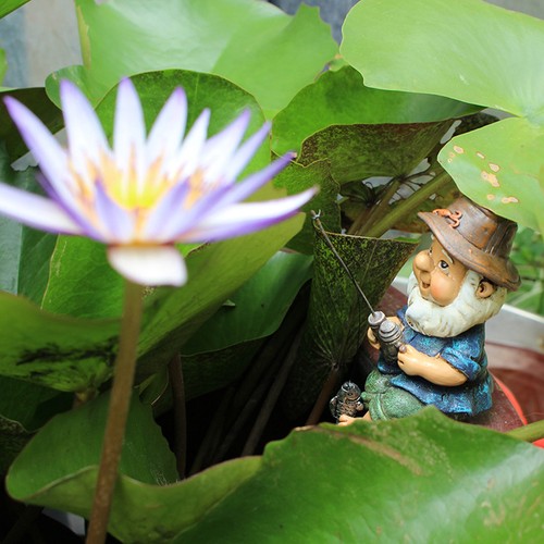 Fishing gnome sitter funny - gnome,