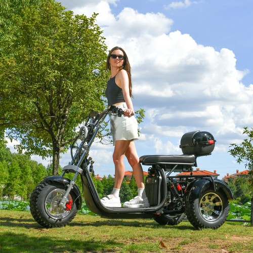 Aldult fat tire - aldult, scooter