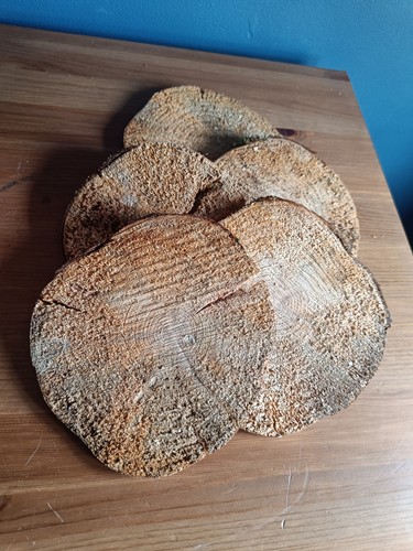 Natural wood log slices rustic - log,
