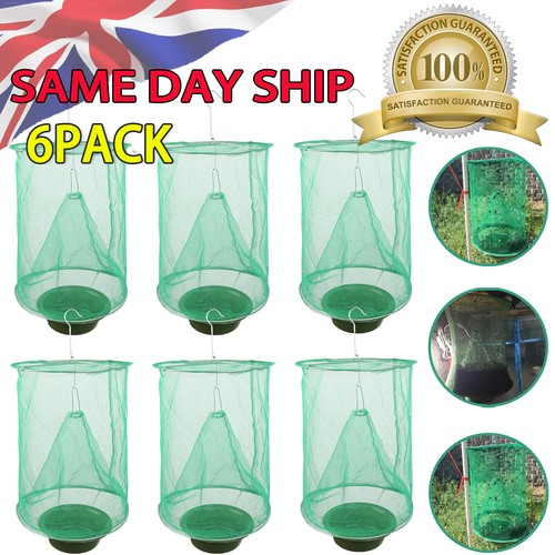 Fly trap ranch reusable - fly,