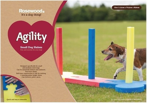 Rosewood agility small dog - -,