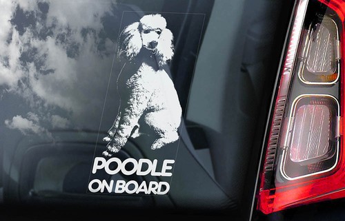 Poodle car sticker caniche - car, sticker,