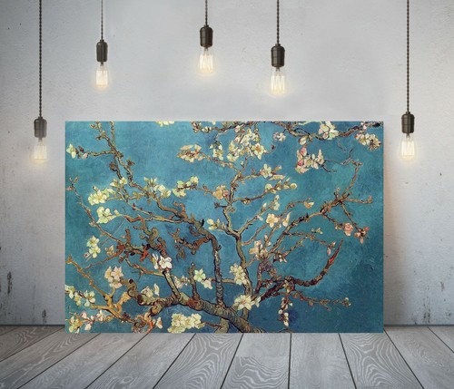 Van gogh almond - van,