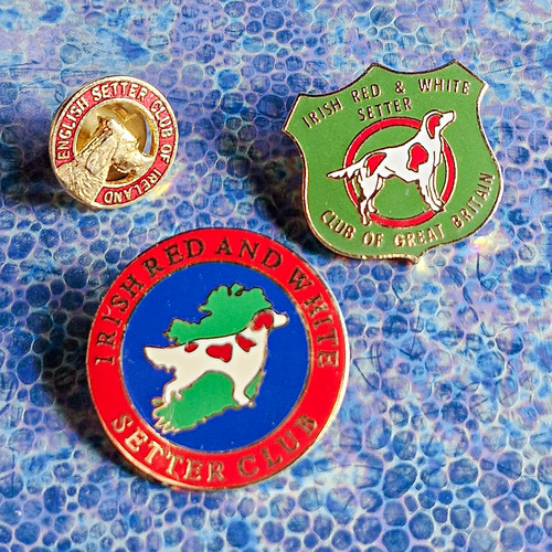 Vintage setter dog club badges - vintage,