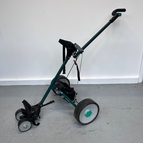 Hillbilly electric golf - electric,